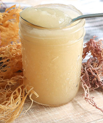 How to Use Sea Moss Gel Daily