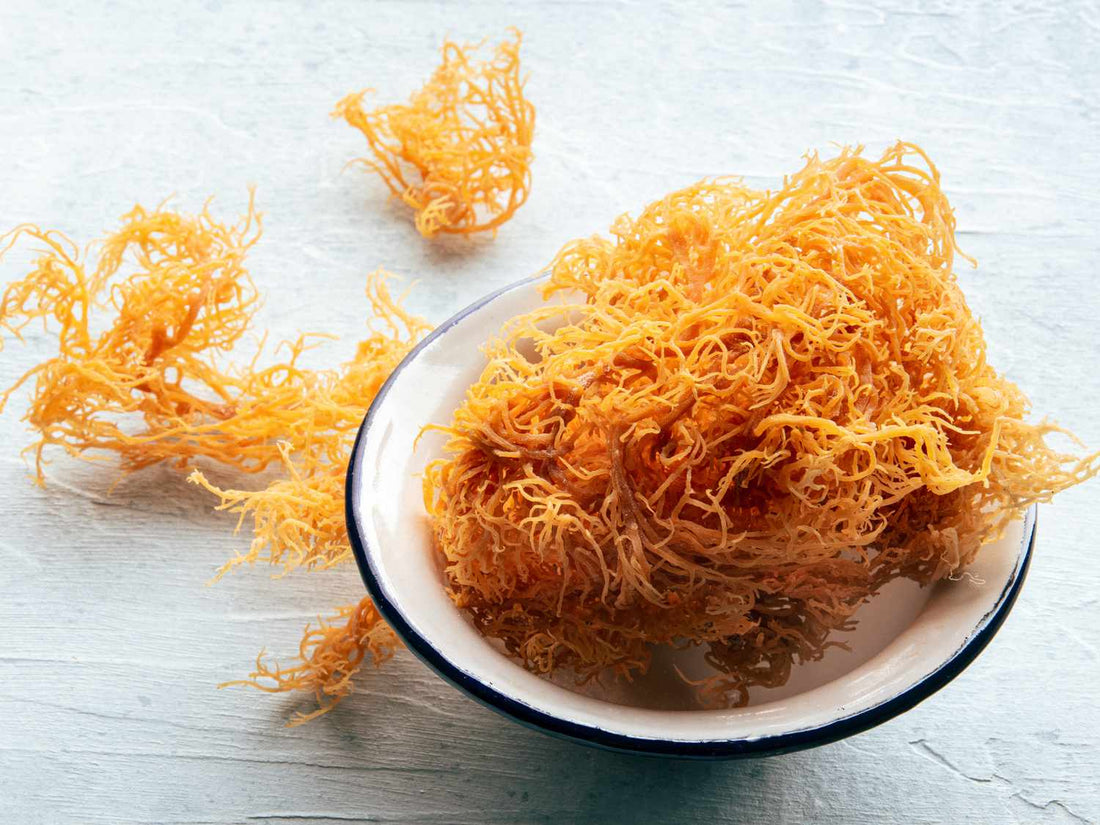Why Sea Moss?