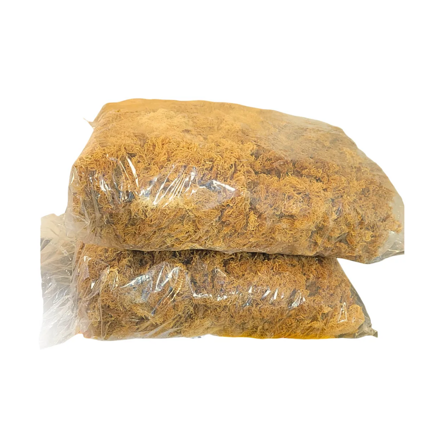 Sea Moss | Makes 24oz of Gel | Wild Harvested| Raw + Non GMO | Golden