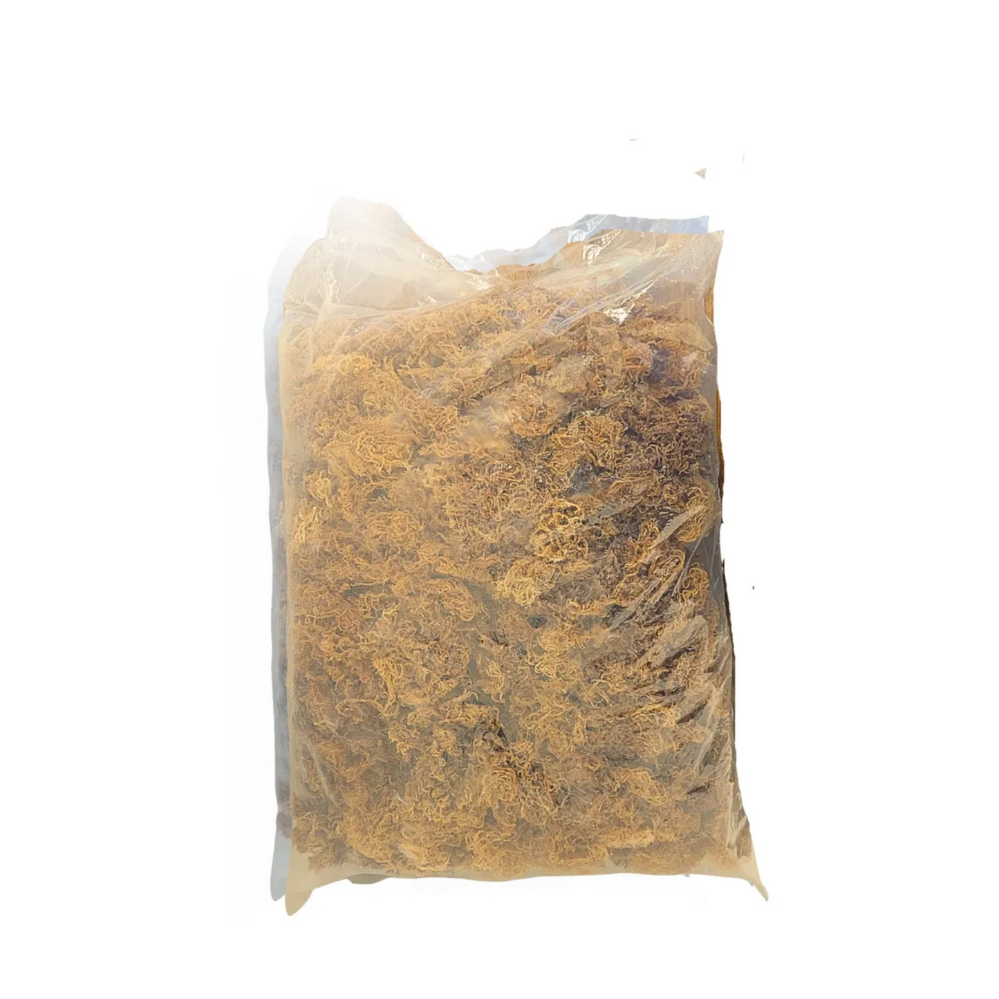 Sea Moss | Makes 24oz of Gel | Wild Harvested| Raw + Non GMO | Golden